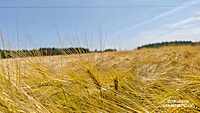Boucle Chanxhe et Esneux sud