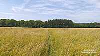 Boucle Chanxhe et Esneux sud