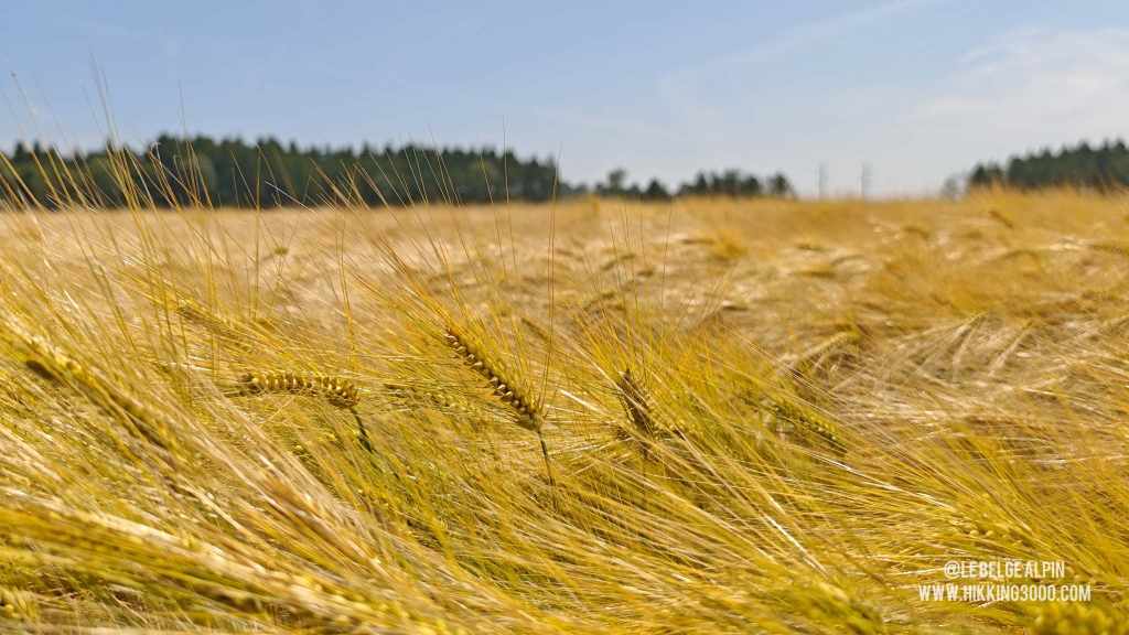 Boucle Chanxhe et Esneux sud