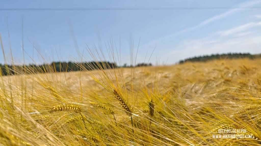 Boucle Chanxhe et Esneux sud