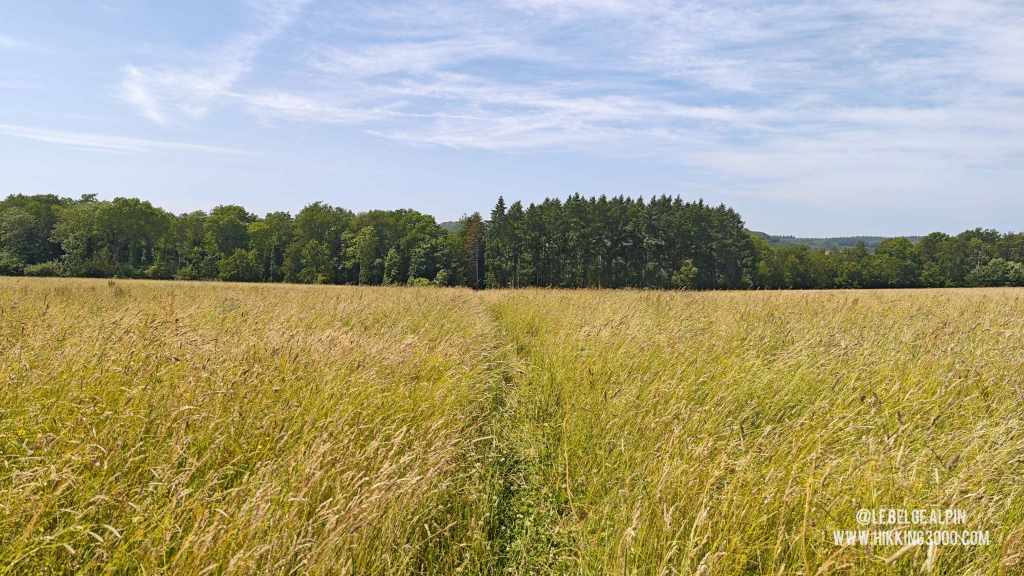Boucle Chanxhe et Esneux sud