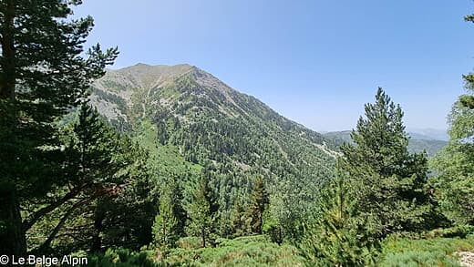 Pic du Canigou