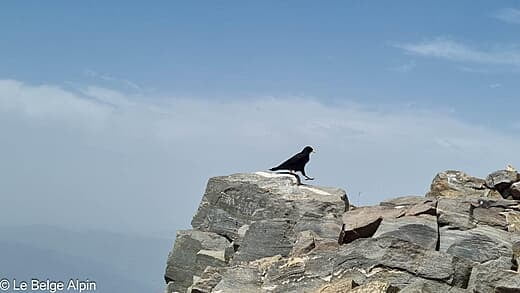 Pic du Canigou