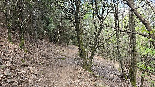 Mont Aigoual