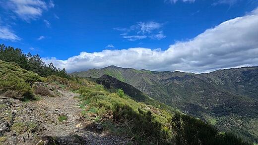 Mont Aigoual