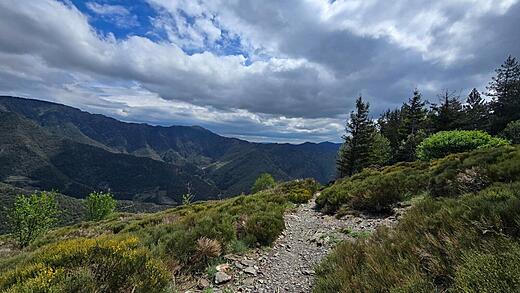 Mont Aigoual