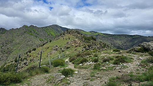 Mont Aigoual