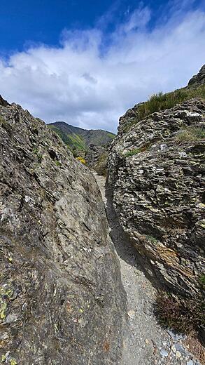 Mont Aigoual