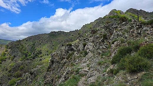 Mont Aigoual
