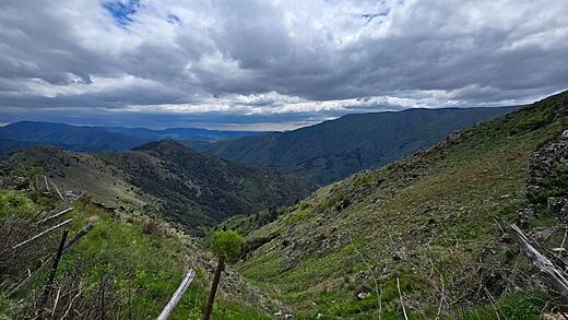 Mont Aigoual