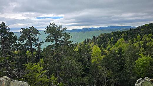 Mont Aigoual
