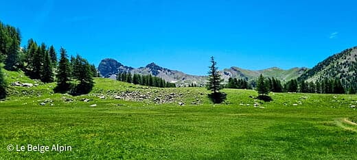Mont Pelat