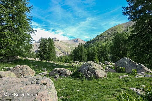 Mont Pelat