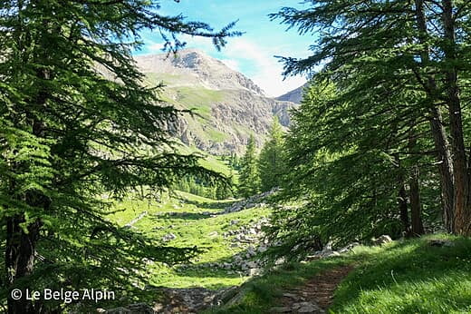 Mont Pelat