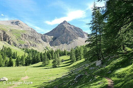 Mont Pelat