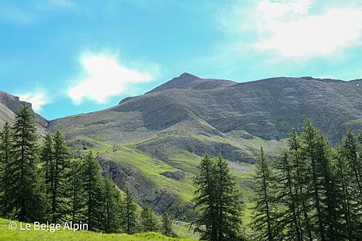 Mont Pelat